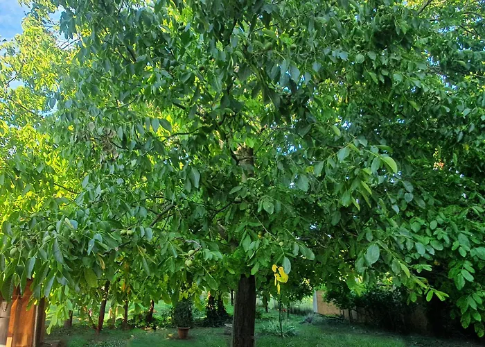 アパート Romantic - Pápa