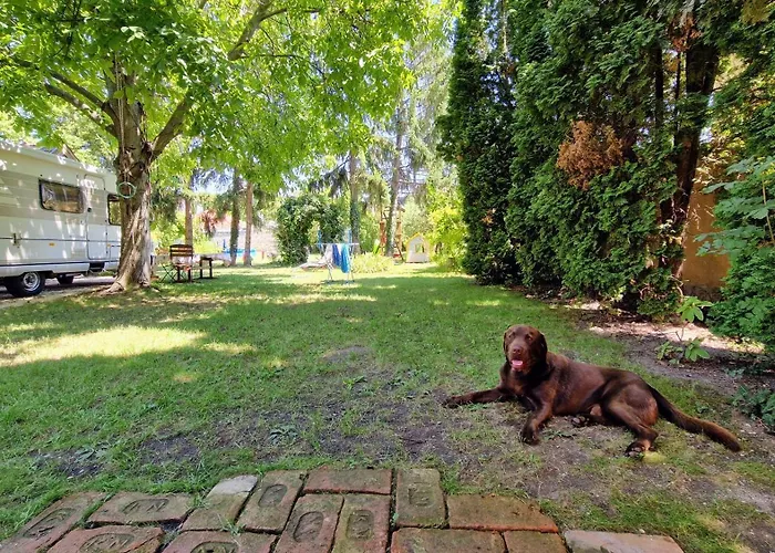 Lejlighed Romantic - Pápa